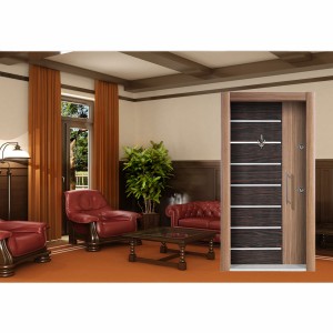 Alpi  Kaplama   DV AC - 101