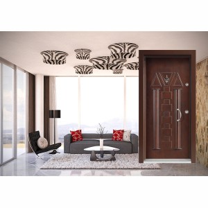 Eskitme    DV EM - 507