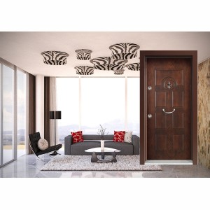 Eskitme    DV EM - 511