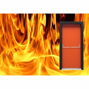 YANGIN ÇIKIŞ    DV PANIC - 2